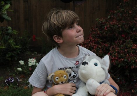 young boy holding two toy animals