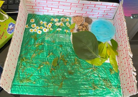 miniature garden created by a pupil