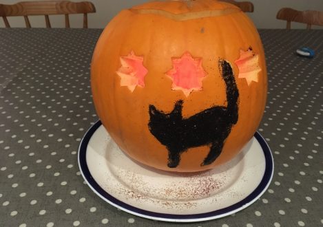 Cat on a carved pumpkin