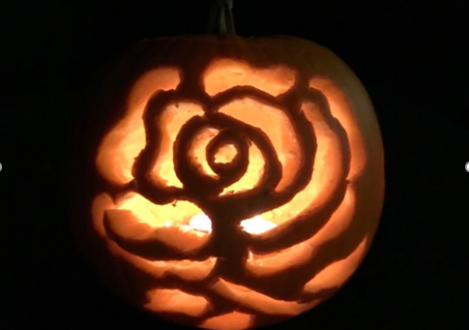 rose carved into a pumpkin