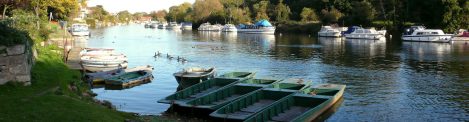 lake with boats