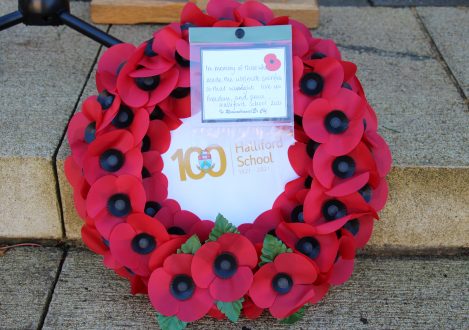 poppy wreath