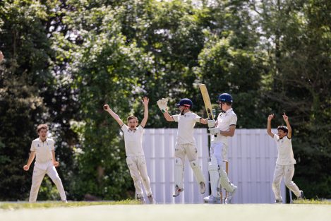 boys playing cricket