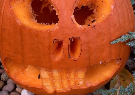 pumpkin with big eyes