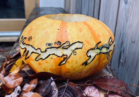 carved pumpkin on top of leaves