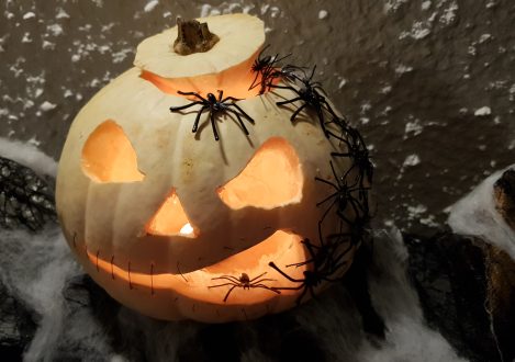 carved pumpkin with spiders
