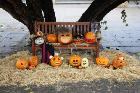 pumpkin carvings