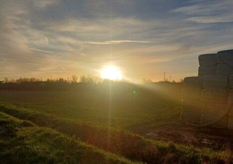 sunrise in the countryside