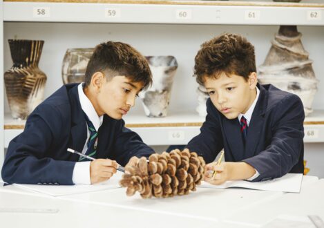 students drawing a pinecone