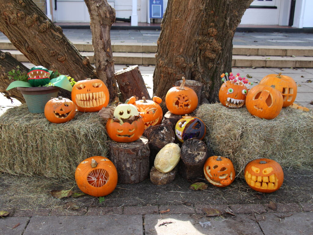 carved pumpkins