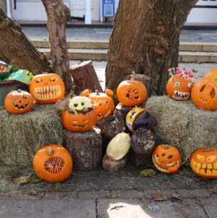 carved pumpkins